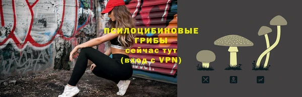 прущие крисы Козловка