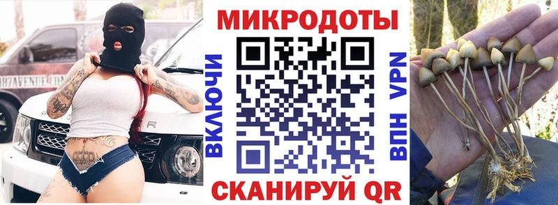 Псилоцибиновые грибы прущие грибы Купить закладки Великие Луки